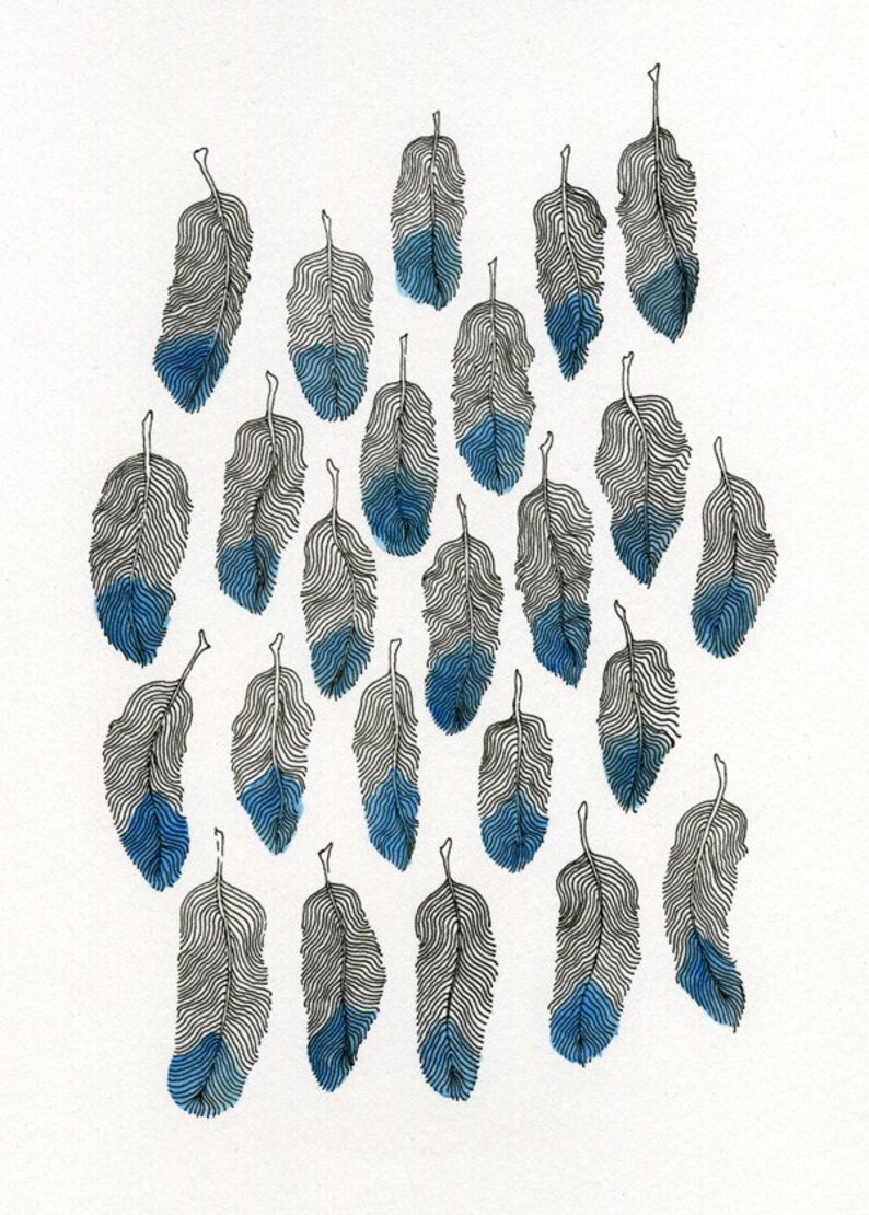 Puede incluir: Una colecci&oacute;n de 20 dibujos en blanco y negro de plumas, cada uno con una lavada de acuarela azul en la parte inferior.