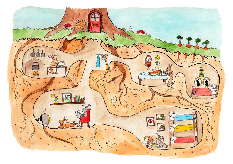 Rabbit Burrow Cross Section Print image 1