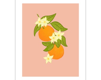 Orange Blossom Illustration