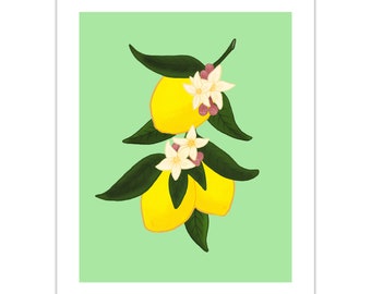 Lemon Blossom floral  Illustration