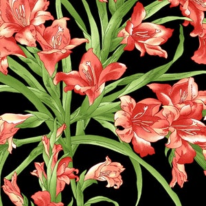 Sommersville Maywood Studio Black Large Floral Cotton Quilt Fabric  sold by the 1/2 yard #MAS9830-J