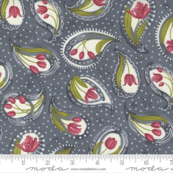 Tulip Tango by Robin Pickens for Moda Tulip Paisley Floral Cotton Quilt Fabric sold by the 1/2 yard #48711 13 Graphite