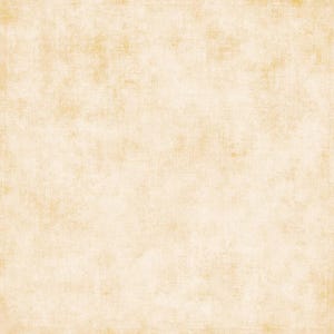 Basic Shade by Riley Blake CREAM 100% Cotton Quilt Fabric by the 1/2 yard #C200-02 CREAM