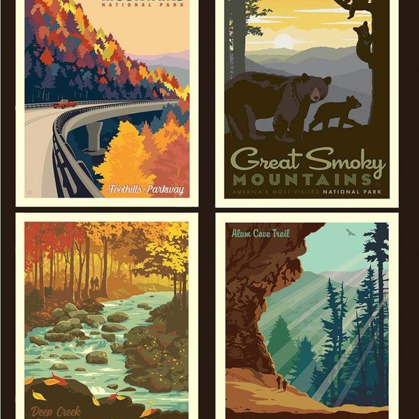 National Parks Pillow Panel GREAT SMOKY MOUNTAINS  Anderson Design Group for Riley Blake Designs 100% Cotton Quilt Fabric Sold by the panel