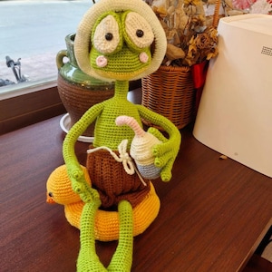 Frog Amigurumi Crochet Pattern PDF, Summer Beach Doll with Duck Float and Drink, Cute Animal Crochet Tutorial Instant Download