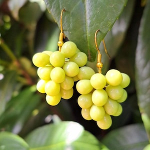 Op de afbeelding: Een paar oorhangers met trossen lichtgroene, druifvormige kralen. De oorbellen hebben goudkleurige haken en staan tegen een wazige achtergrond van groene bladeren. Een uniek, door de natuur geïnspireerd accessoire.