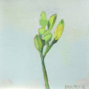 Daylily 1 - archival print