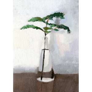 5x7" print - plant still life - "Fern 5"