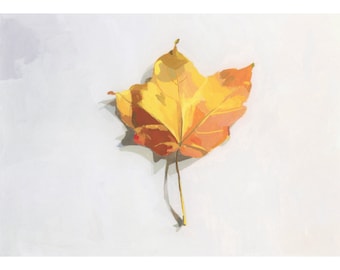 Maple Leaf 3 - archival print