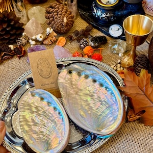 Iridescent Abalone Shell: Natural Home Decor, Meditation Space