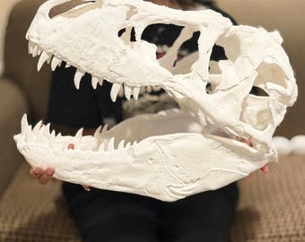 Big 1:3 T-Rex Skull Replica
