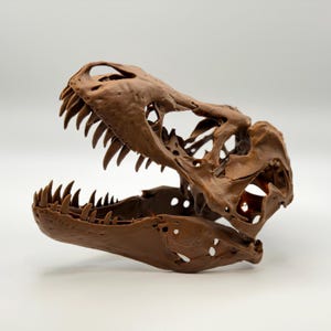 May include: A brown Tyrannosaurus rex skull model featuring a detailed skeletal structure with sharp, pointed teeth, large eye sockets, and a textured surface. The dinosaur skull is depicted in profile with its jaw slightly open, showing internal cavities.