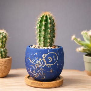Puede incluir: Un cactus verde en una maceta de cerámica azul con un diseño dorado del signo zodiacal Acuario. La maceta se encuentra sobre un posavasos redondo de bambú. El cactus tiene espinas afiladas y está rodeado de pequeñas piedras.