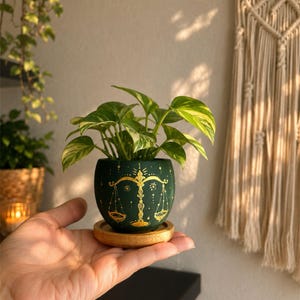 Peut inclure: Un pot de plante en céramique vert foncé avec un motif de balance de la Balance doré. Le pot contient une plante à feuilles vertes et blanches et repose sur une petite soucoupe en bambou. Le pot mesure environ 10 cm de diamètre.