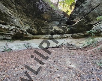 High-Resolution Nature Photography Print | Wall Art for Home and Office | Digital Download