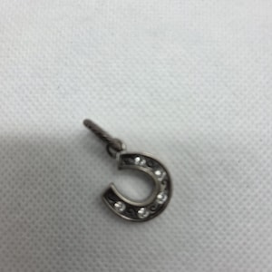 May include: A silver horseshoe charm with clear crystal accents. The charm has a detailed design with a small loop at the top for attachment. The horseshoe is a classic symbol of good luck.