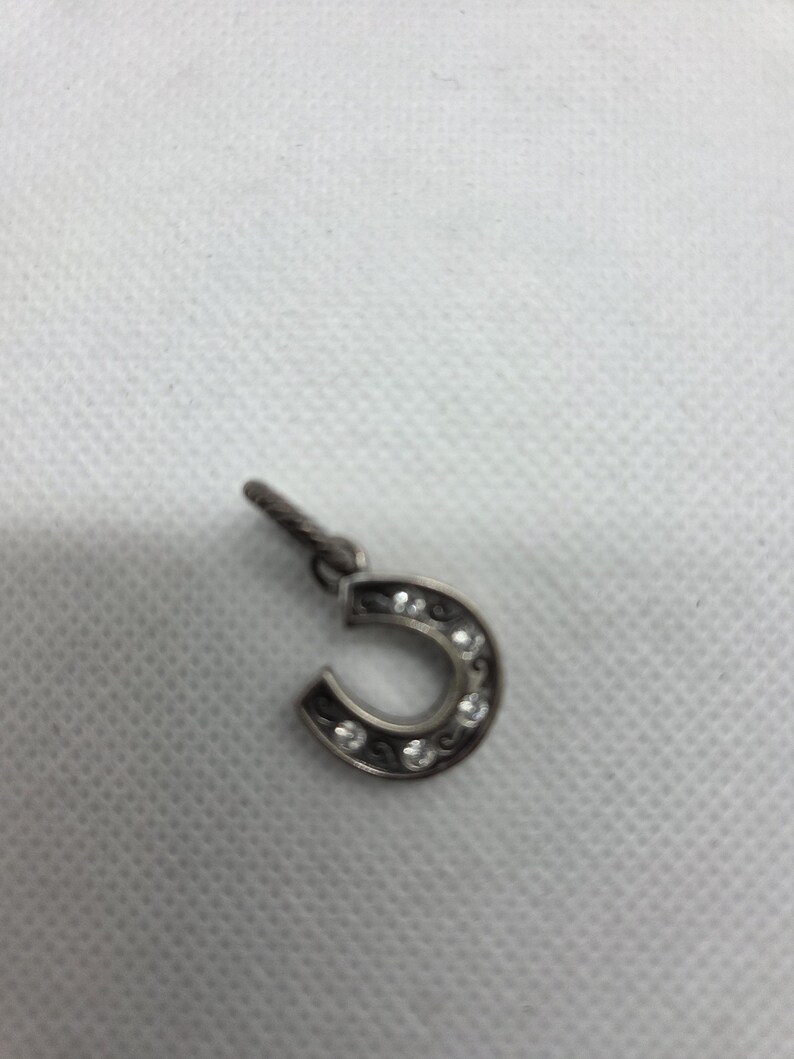 May include: A silver horseshoe charm with clear crystal accents. The charm has a detailed design with a small loop at the top for attachment. The horseshoe is a classic symbol of good luck.