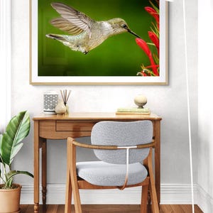 Emerald Hummingbird Photography Red Flower Garden Print Wildlife Wall Art Beautiful Bird Image Nature Photography Home Decoration Picture Vibrant Colors Living Room Display Artistic Nature Print Flying Bird Capture Perfect Gift Idea Bird