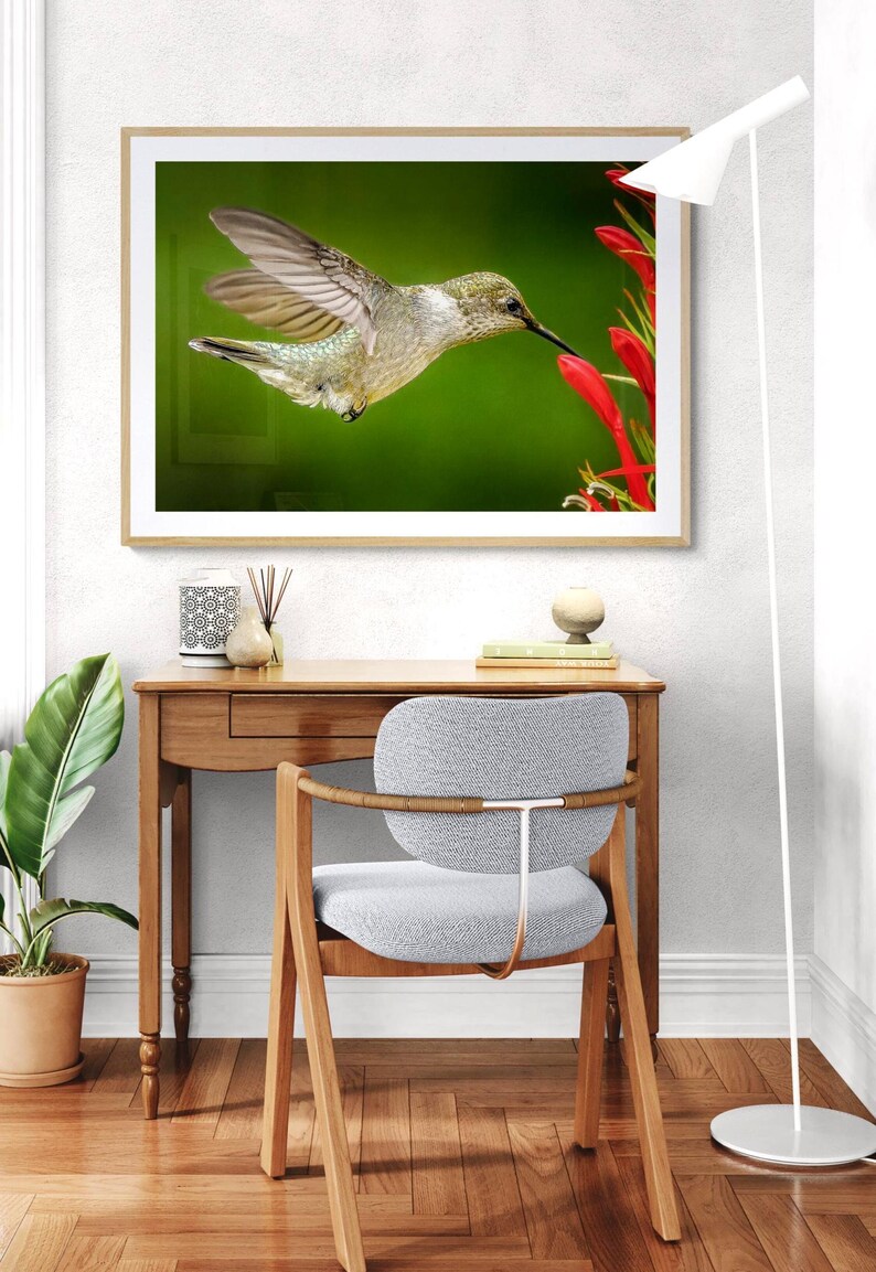 Emerald Hummingbird Photography Red Flower Garden Print Wildlife Wall Art Beautiful Bird Image Nature Photography Home Decoration Picture Vibrant Colors Living Room Display Artistic Nature Print Flying Bird Capture Perfect Gift Idea Bird