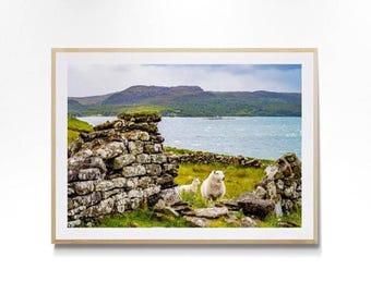 Isle of Skye Photography Print, Scottish Highlands Landscape, Sheep & Lamb Wall Art