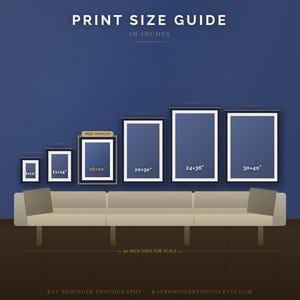 Print Size Guide displaying framed wall art sizes from 8x10 through 30x40 inches on a navy-blue background. The 16x20 size is highlighted as the most popular, with artwork dimensions shown for comparing sizes in living rooms, bedrooms, dining rooms, and gallery walls.