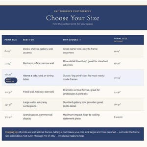 Choose Your Size Chart comparing six fine art print sizes—8x10, 11x14, 16x20 (Most Popular), 20x30, 24x36, and 30x40—with recommended uses, frame sizes with mats, and suggested room placement. The 16x20 size is highlighted as the most popular for displaying above a sofa, bed, or dining table. A footer notes that prints are sold unframed and recommends using mats for a larger, polished look.