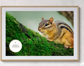 Chipmunk Wildlife Photography Print,  Woodland Animal Nature Decor, Wildlife Wall Art