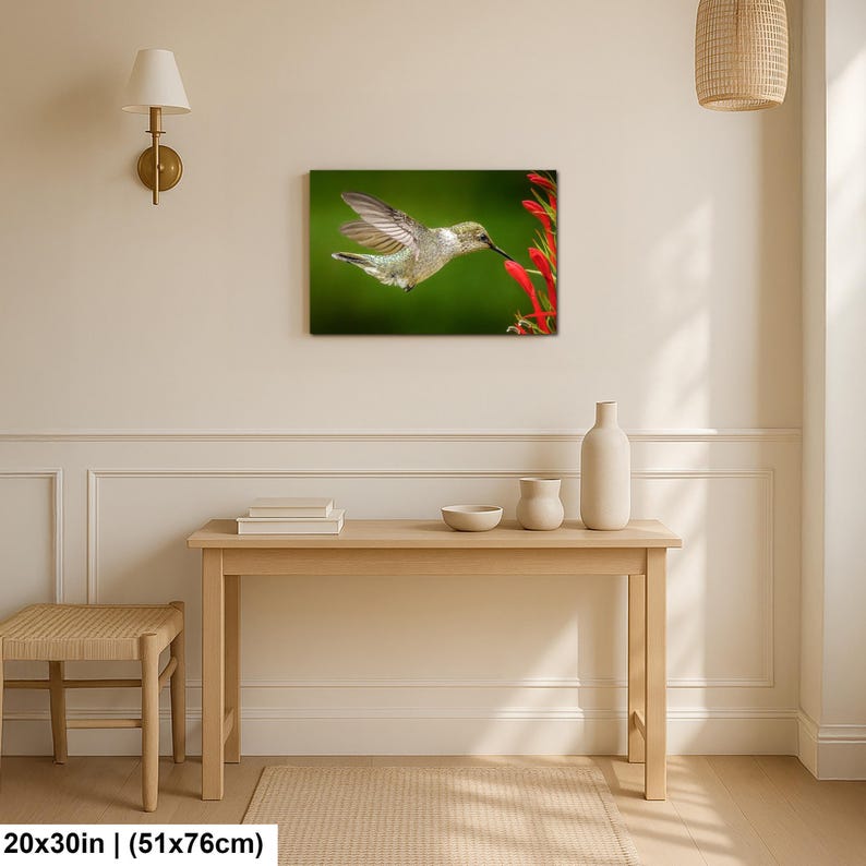Hummingbird Photography Print, Bird Wall Art, Hummingbird in Flight, Garden Nature Decor image 10