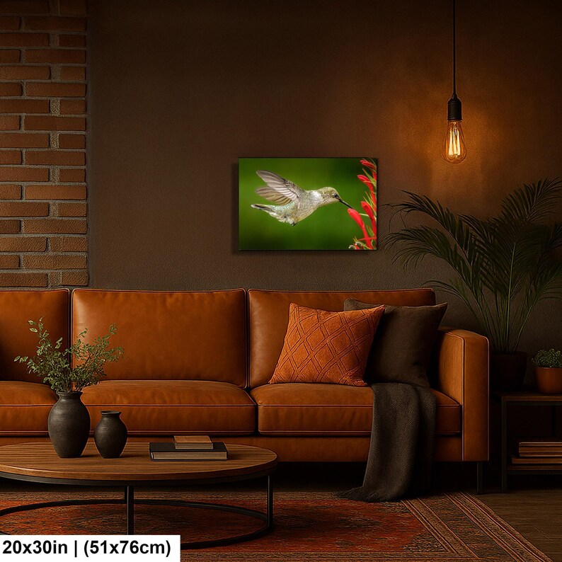 Hummingbird Photography Print, Bird Wall Art, Hummingbird in Flight, Garden Nature Decor image 3