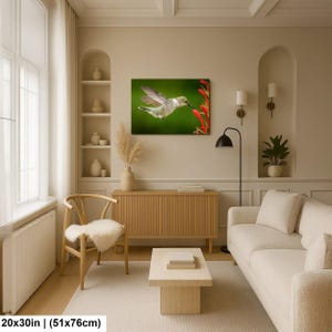 Gift Idea Hummingbird Print Nature Photography Wall Art Bird Lover Present Wildlife Photo Home Decoration Emerald Green Bird Red Flower Garden Image Beautiful Living Room Display Colorful Bird Photography Vibrant Nature Capture Perfect