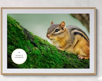 Chipmunk Photography Print, Woodland Animal Wall Art, Rustic Cabin Nature Decor