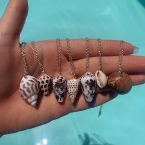 May include: Seven seashell necklaces with silver chains. The shells are diverse in size, shape, and colour, featuring white, brown, and tan hues. The necklaces are presented against a light blue backdrop.
