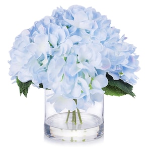 May include: A bouquet of light blue hydrangea flowers in a clear glass vase. The flowers have multiple layers of petals and are surrounded by green leaves. The vase is cylindrical and sits on a white surface.