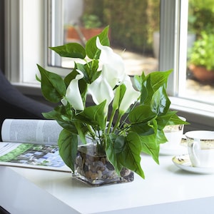 Könnte beinhalten: Ein Blumenarrangement mit weißen Calla-Lilien und grünen Blättern in einer transparenten, quadratischen Glasvase, die mit kleinen Kieselsteinen gefüllt ist. Das Arrangement steht auf einer weißen Oberfläche in der Nähe eines Fensters.