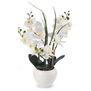 May include: A white ceramic vase displays a lush arrangement of white orchid flowers. The orchids feature delicate petals with yellow centers, alongside green stems and leaves. The vase is round and smooth, offering a clean, contemporary look.