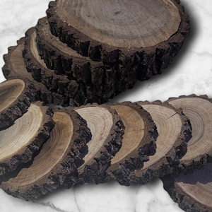 Free Black Walnut Slabs, Live Edge Cookie Rounds, Wooden Rounds for Coasters