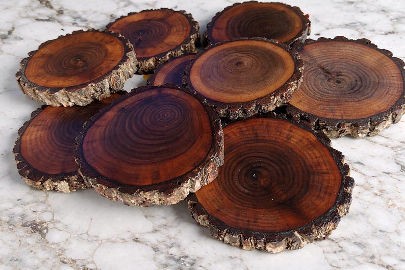4 Pack Black Walnut Wood Cookies, Natural Bark Edge Coasters - Etsy
