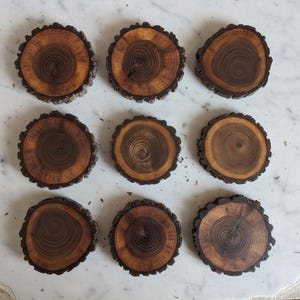 Puede incluir: Nueve posavasos de madera, cada uno una sección transversal de una rama de árbol. Los posavasos tienen un centro marrón oscuro con bordes marrón claro y beige. Los bordes de la corteza son visibles. Los posavasos están dispuestos en una cuadrícula.