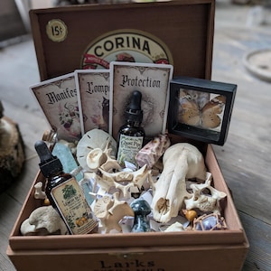 May include: A wooden cigar box containing two amber glass dropper bottles labeled Lemon Balm and Ghost Pipe, three rectangular cards labeled Manifest, Comp, and Protection, a framed butterfly specimen, a small animal skull, and vertebrae bones.