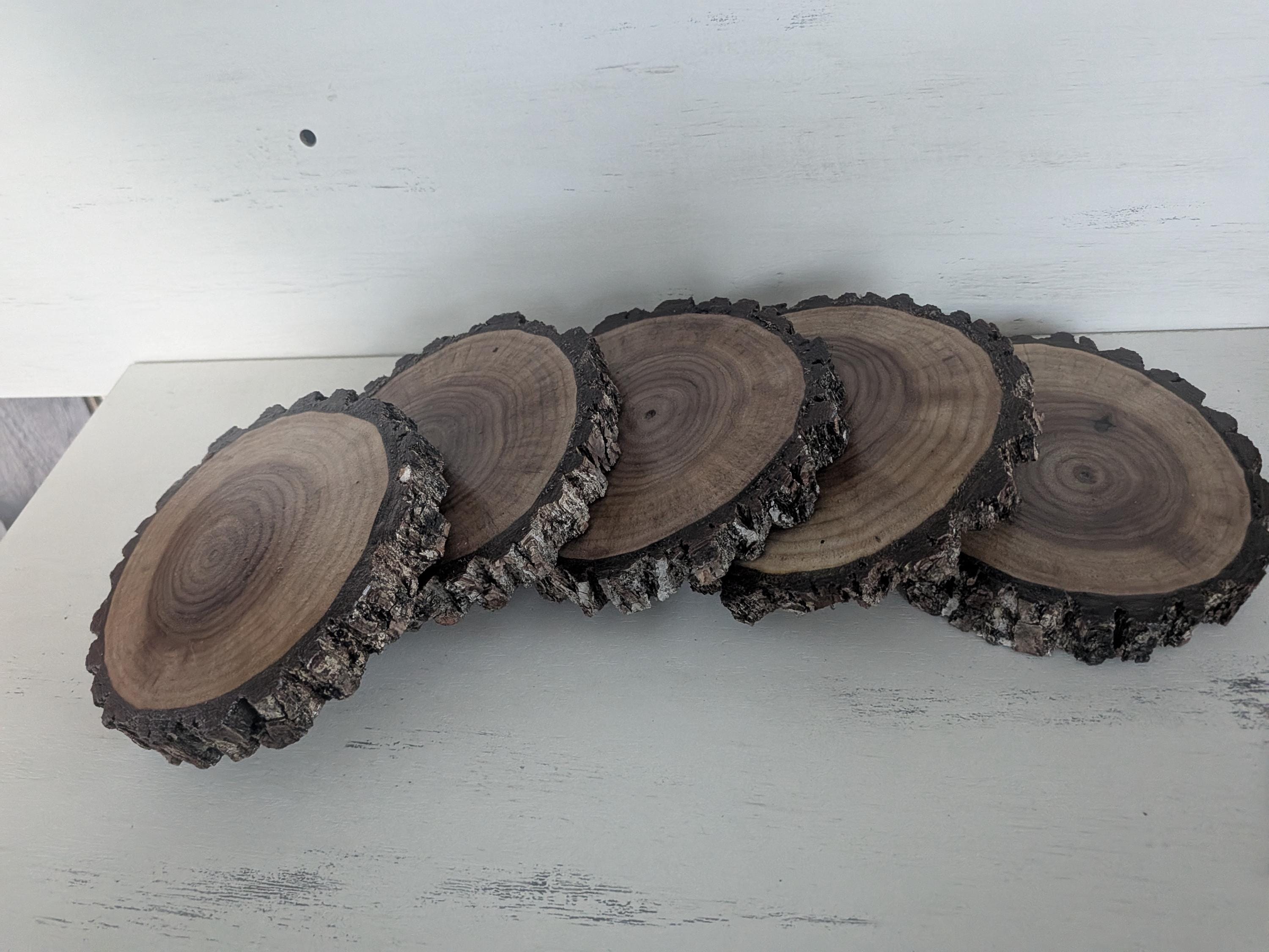 Walnut Rounds Black Walnut Slabs, Live Edge Cookie Rounds, Wooden Rounds for Coasters ...