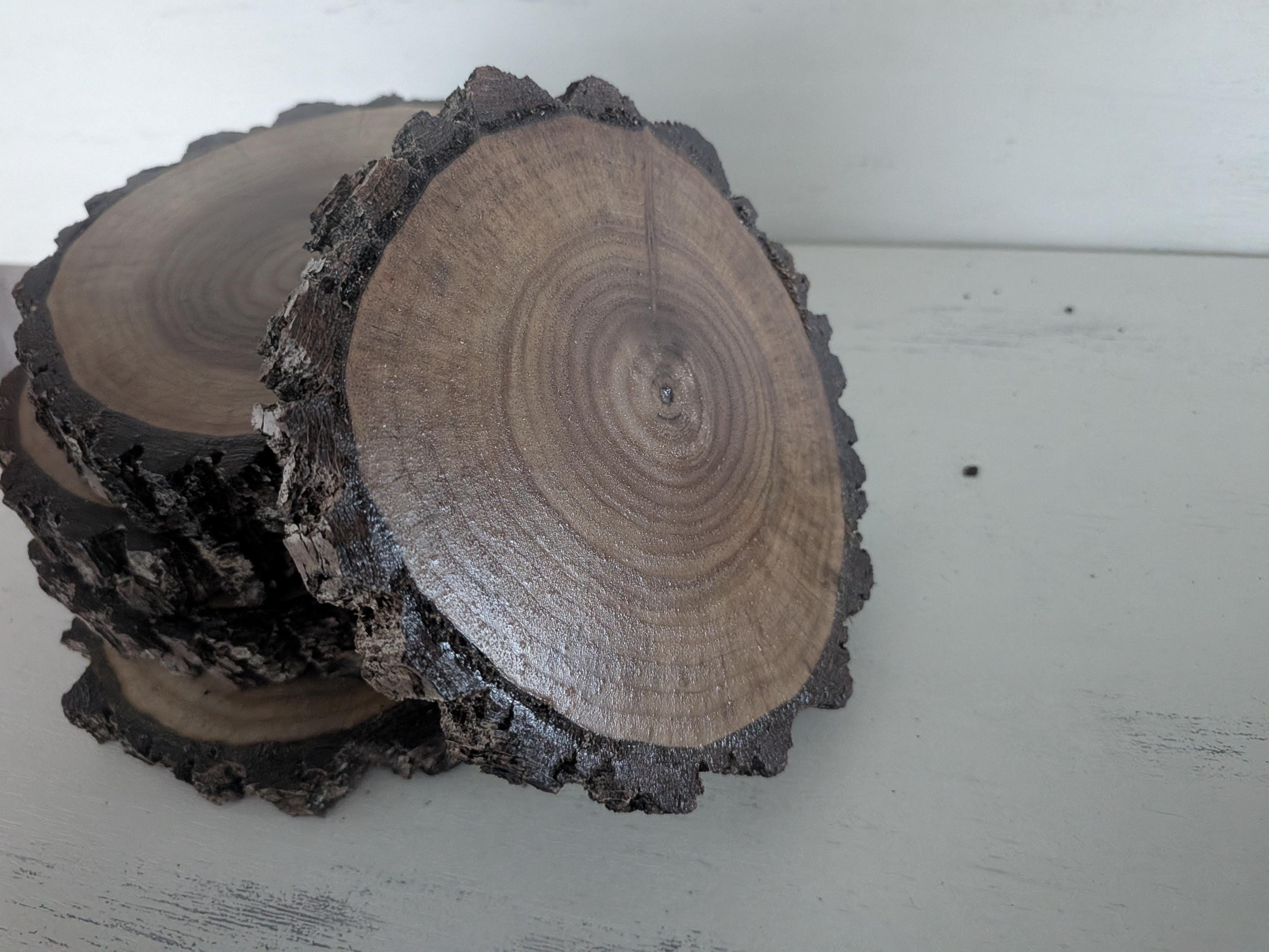 Black Walnut Slabs, Live Edge Cookie Rounds, Wooden Rounds for Coasters ...