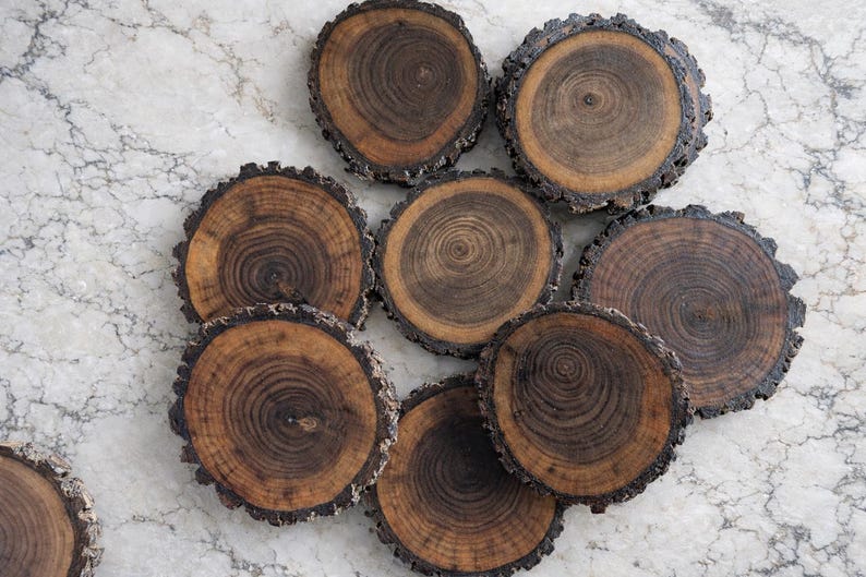 4 Pack Black Walnut Wood Cookies, Natural Bark Edge Coasters - Etsy