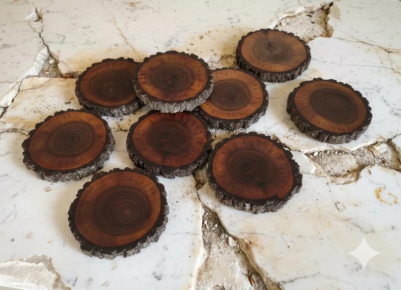 4 Pack Black Walnut Wood Cookies, Natural Bark Edge Coasters - Etsy