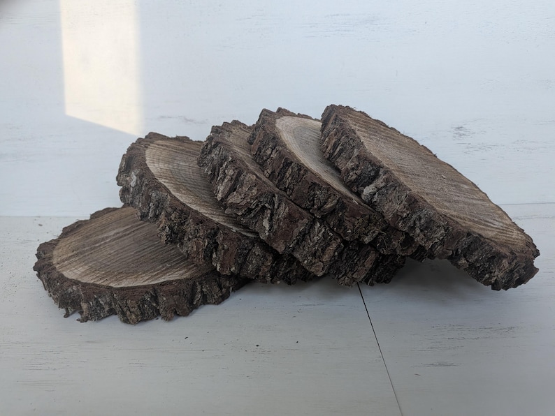 Walnut Rounds Black Walnut Slabs, Live Edge Cookie Rounds, Wooden Rounds for Coasters ...
