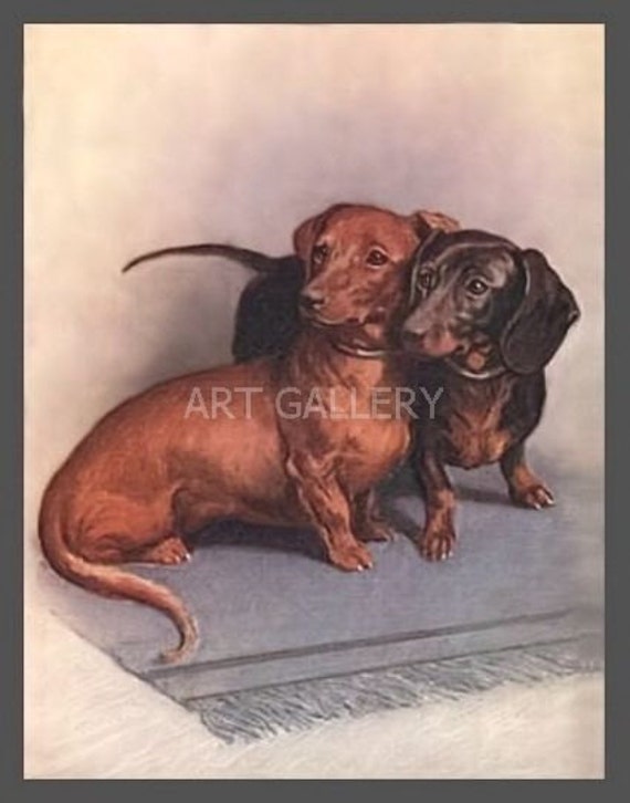 Dachshunds Cuddle Black Short Hair And Brown Art Antique Etsy