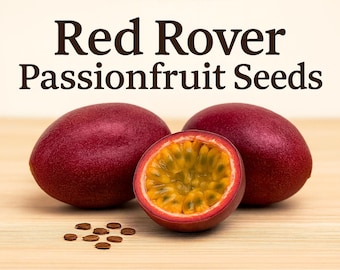 Red Rover Passionfruit Seeds (Passiflora Edulis) Cold Hardy, Heavy Producing, Rare Tropical Fruit