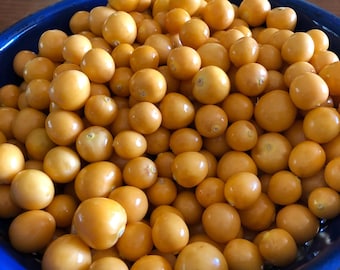 Cape Gooseberry Seeds (Peruvian Groundcherry “physalis peruviana”