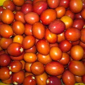 May include: A close-up shot of a pile of tamarillo fruit. The oval-shaped fruits vary in color from deep red to orange and yellow. The fruits have a smooth skin and a small stem at the top. The tamarillos are in a cardboard box.