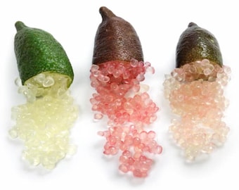 Caviar Citrus Pearls – Gourmet Ingredient for Drinks & Desserts (Australian Finger Lime Variety)