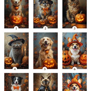 May include: A selection of Halloween-themed portraits showcasing pets in costumes, including dogs and cats. Each pet is positioned with a carved pumpkin, set against a backdrop of autumn leaves. The text "EXPLORE TEMPLATE GALLERY" is at the top.
